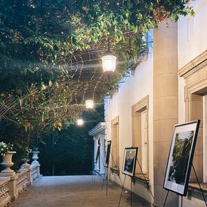 Gallery Photo 55