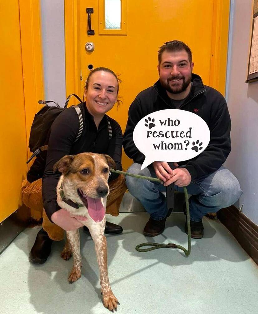 Shortly after moving into their first apartment, something felt like it was missing. That is when they decided to bring Riley home! Two became three, and everything felt complete. 