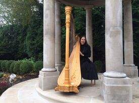 Karen Stern, Harpist - Harpist - Mount Laurel, NJ - Hero Gallery 2