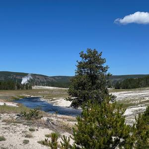 Gallery Photo 207