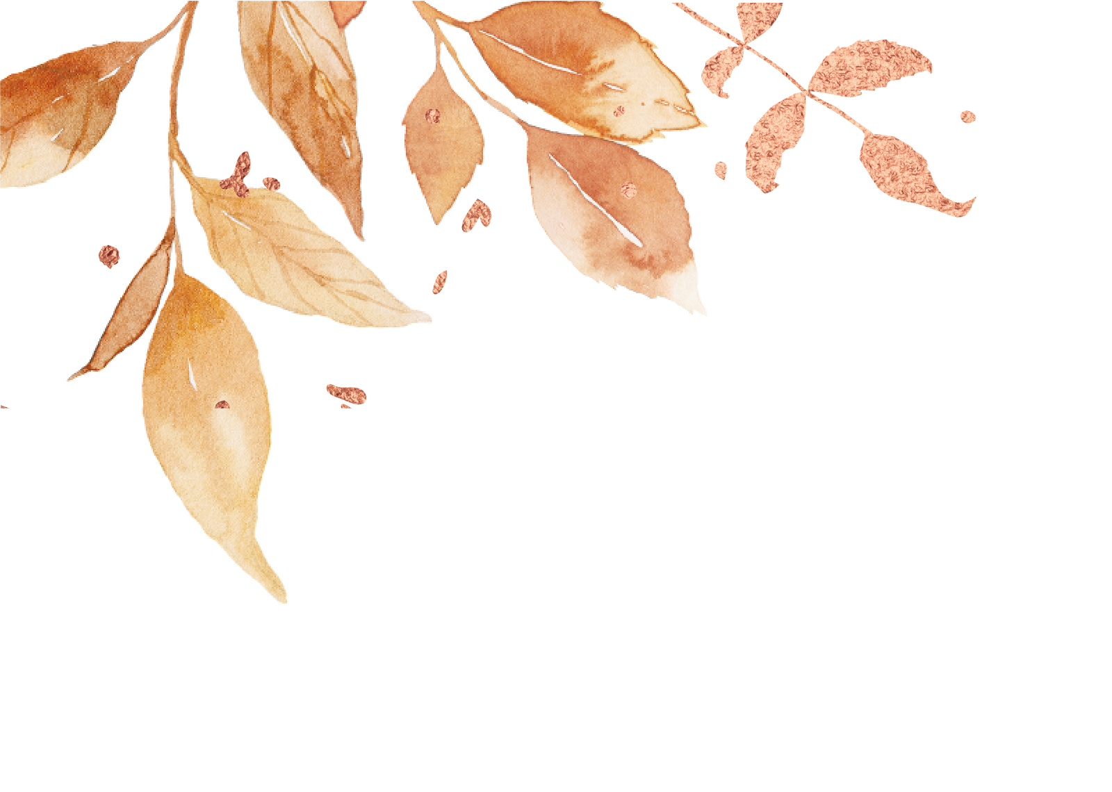 Top Theme Image