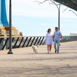 Gallery Photo 12