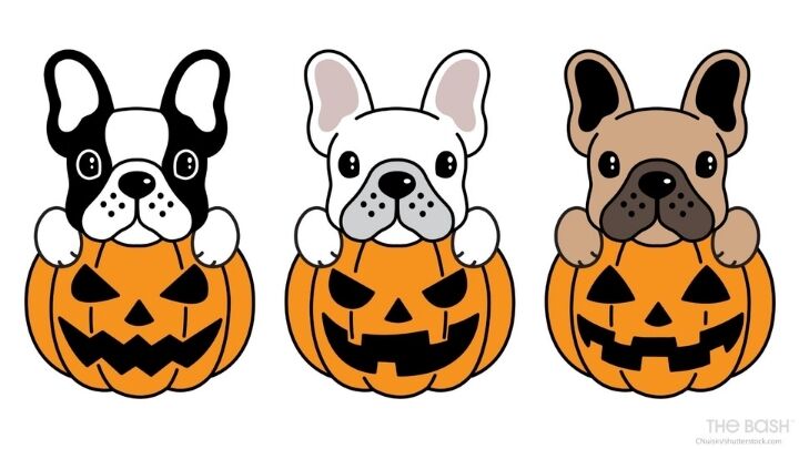 Cute Halloween Zoom Background - Pumpkins and Puppies