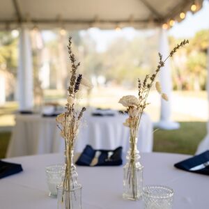 Gallery Photo 19
