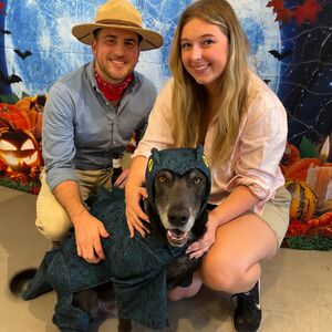 Gallery Photo 31