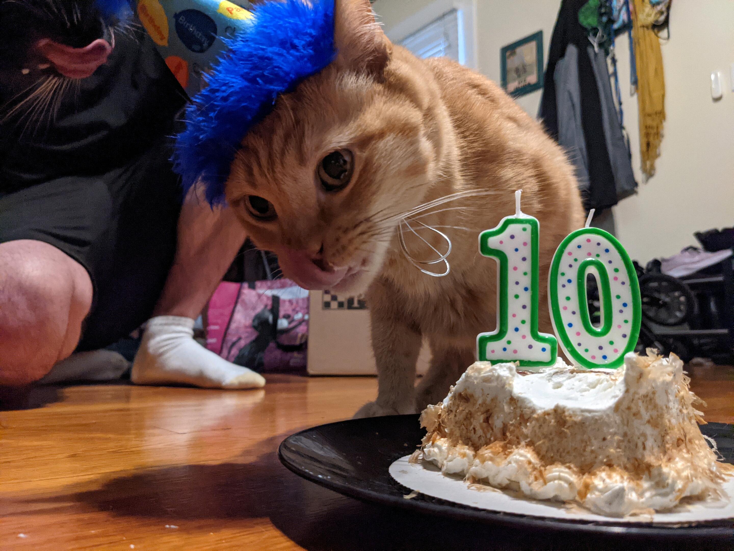 Milestone with our baby, Milo