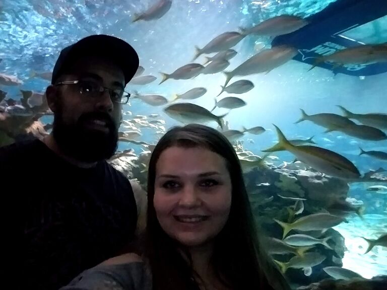We checked out an aquarium and rode UTV through the Great Smokey Mountains National Park