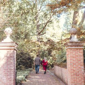 Gallery Photo 8