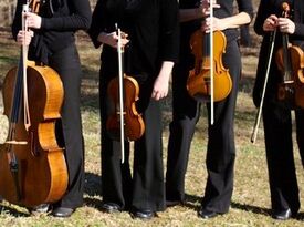 Afton String Quartet - String Quartet - Charlottesville, VA - Hero Gallery 2