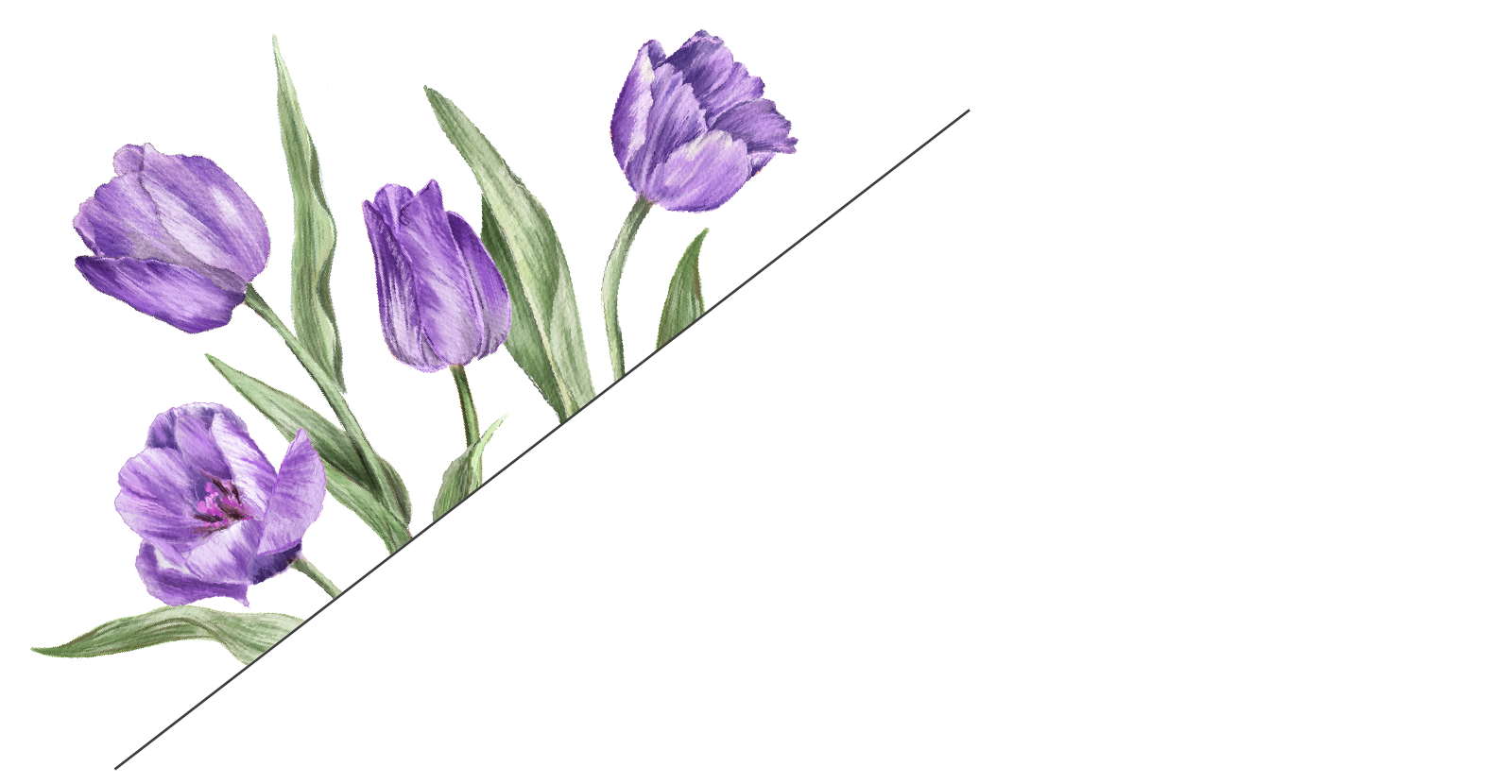 Top Theme Image