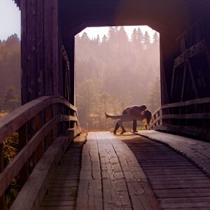 Gallery Photo 32