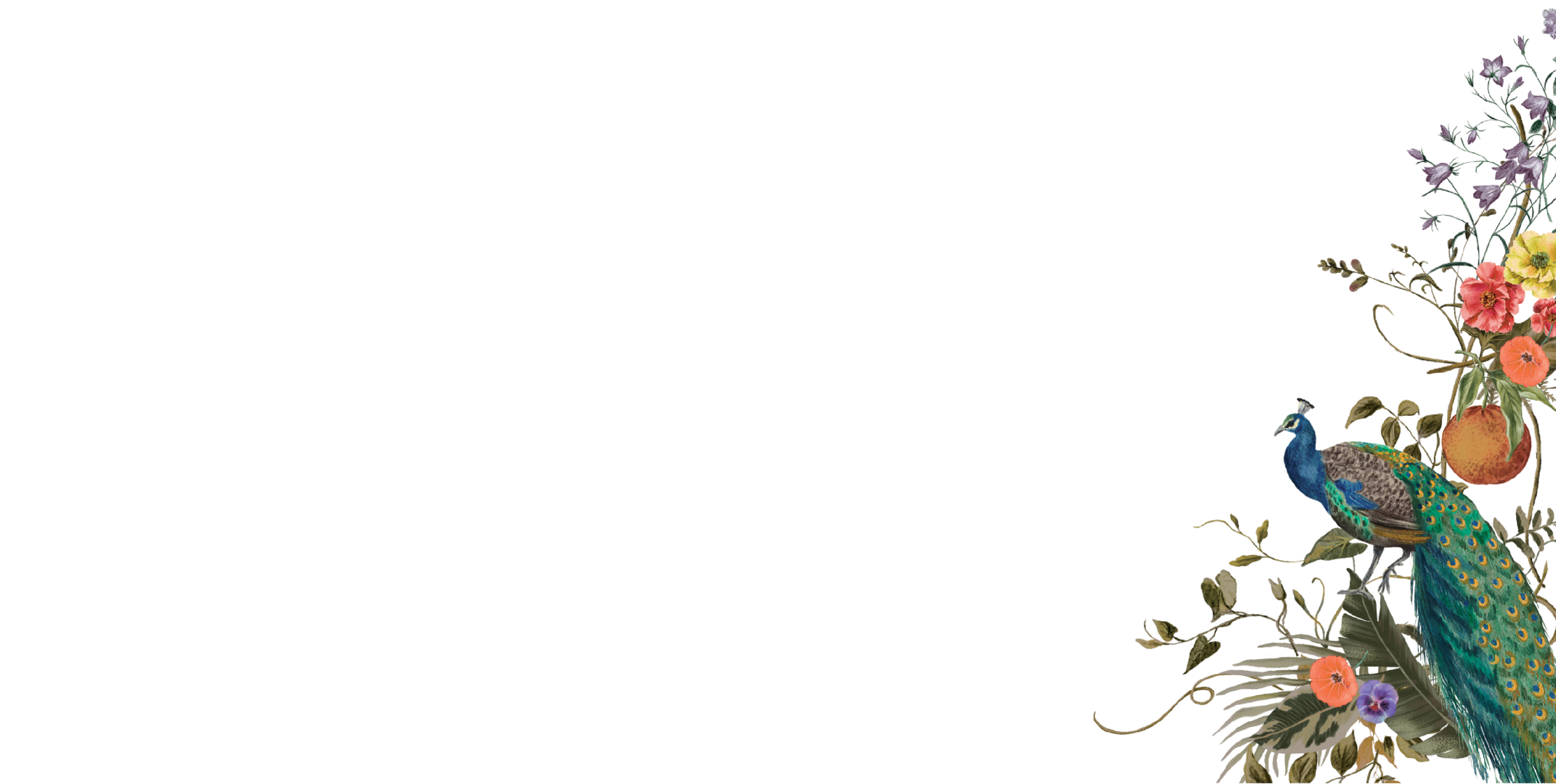 Bottom Theme Image