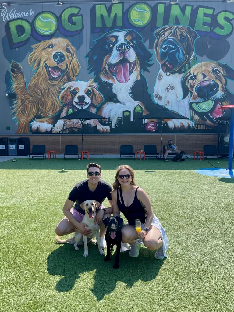 Brought home Tucker to give Maisy a built in bestie