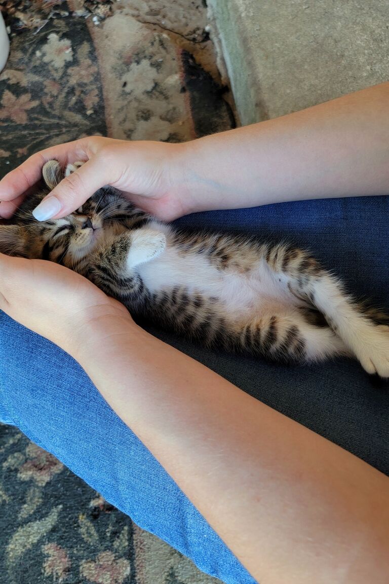 The day a new member was added to the family
