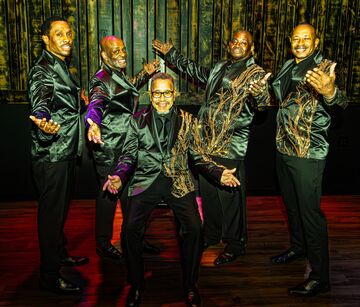 The Tee Tones - Oldies Band - New York City, NY - Hero Main