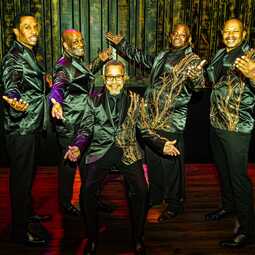 The Tee Tones, profile image