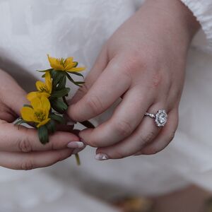 Gallery Photo 63