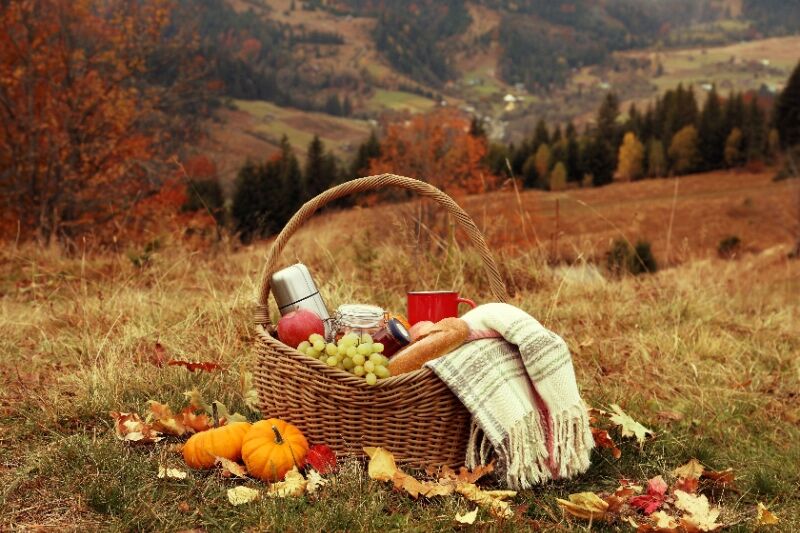 Fall party ideas - fall picnic