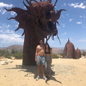 Gallery Photo 20