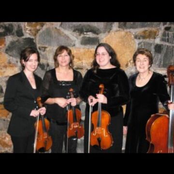 Wilmington String Ensemble - String Quartet - Wilmington, DE - Hero Main