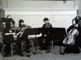 Joy Strings - String Quartet - Cincinnati, OH - Hero Gallery 2