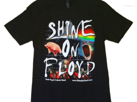 Shine On Floyd - Pink Floyd Tribute Band - Tribute Band - Scottsdale, AZ - Hero Gallery 4