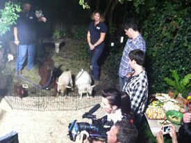 Beautiful Creatures Farm To You Revue - Petting Zoo - Ocala, FL - Hero Gallery 3