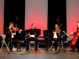 Cherrywood String Quartet And Ensembles - String Quartet - Reading, PA - Hero Gallery 4