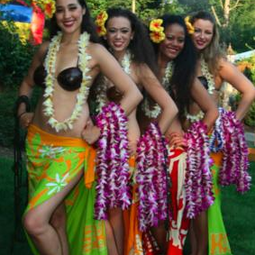 Polynesian Dance Productions, profile image