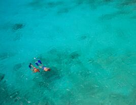 A couple snorkeling in Bonaire, Caribbean.