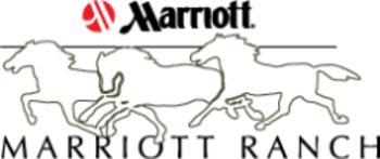 Vendor Logo