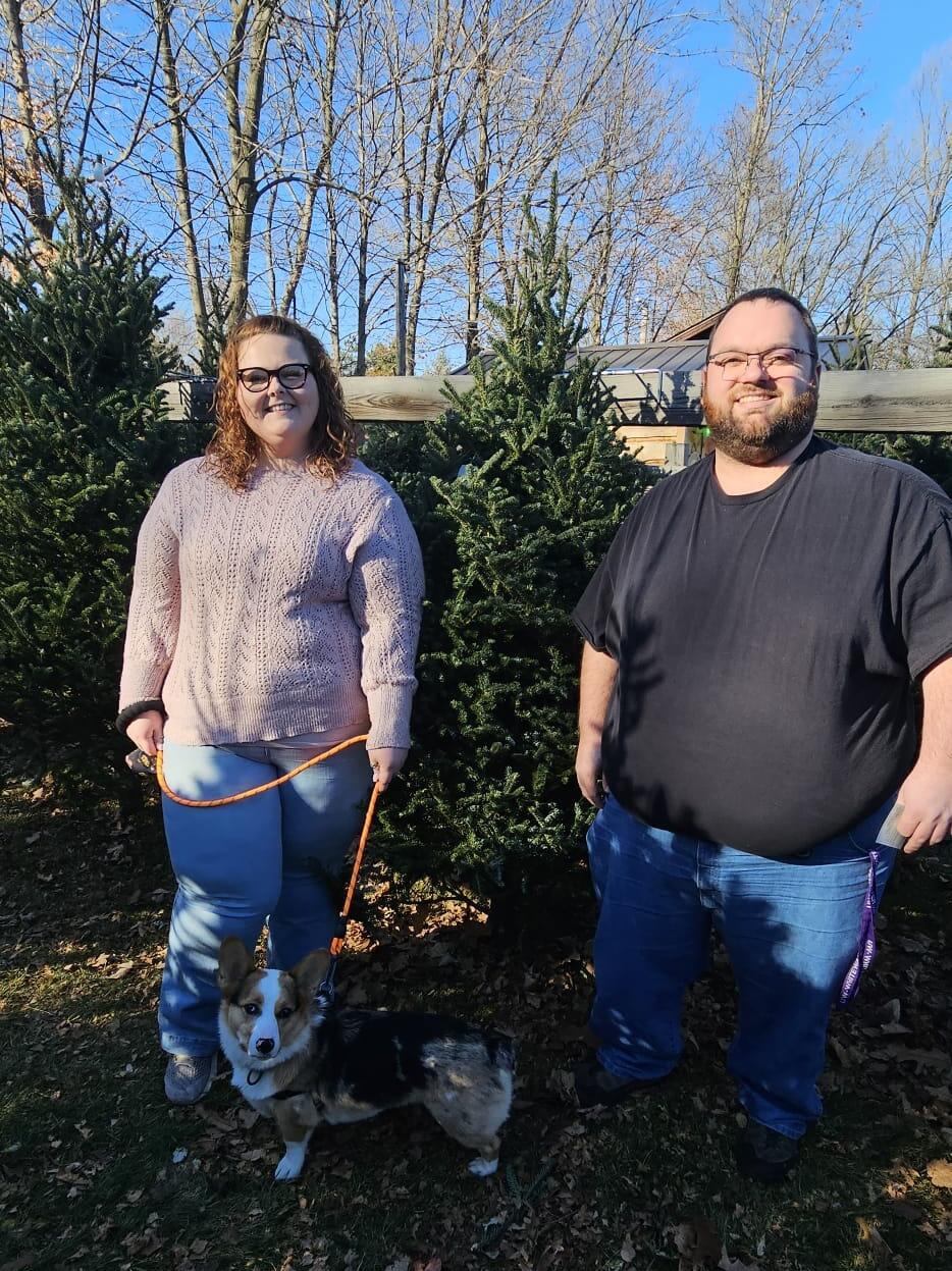 Getting our first Christmas tree together!