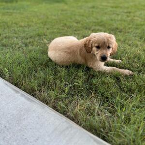 Gallery Photo 26
