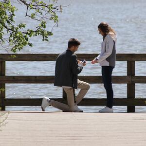 Gallery Photo 53