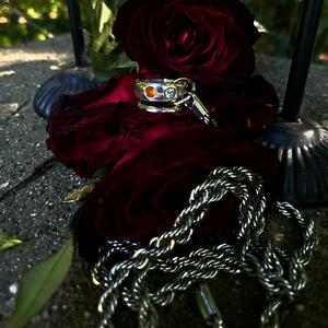 Gallery Photo 12
