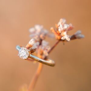 Gallery Photo 21