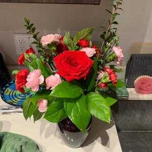 Gallery Photo 30