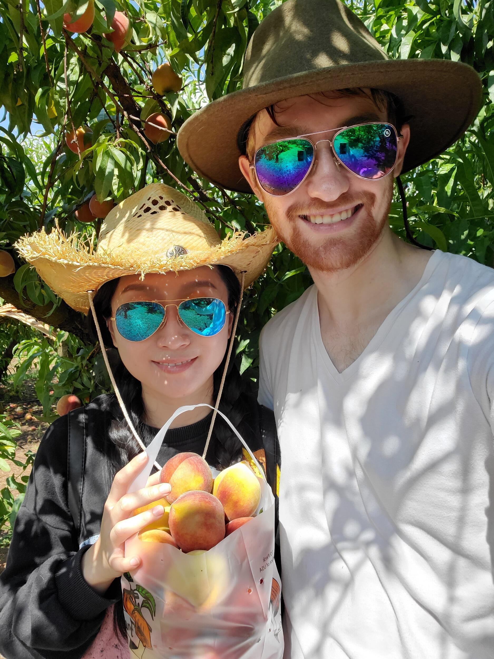 Georgia peach picking.