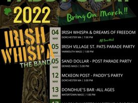 Irish Whispa - the Band - Irish Band - Boston, MA - Hero Gallery 2