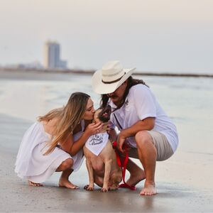 Gallery Photo 7