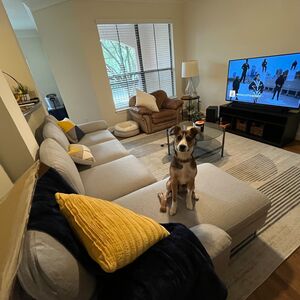 Gallery Photo 1