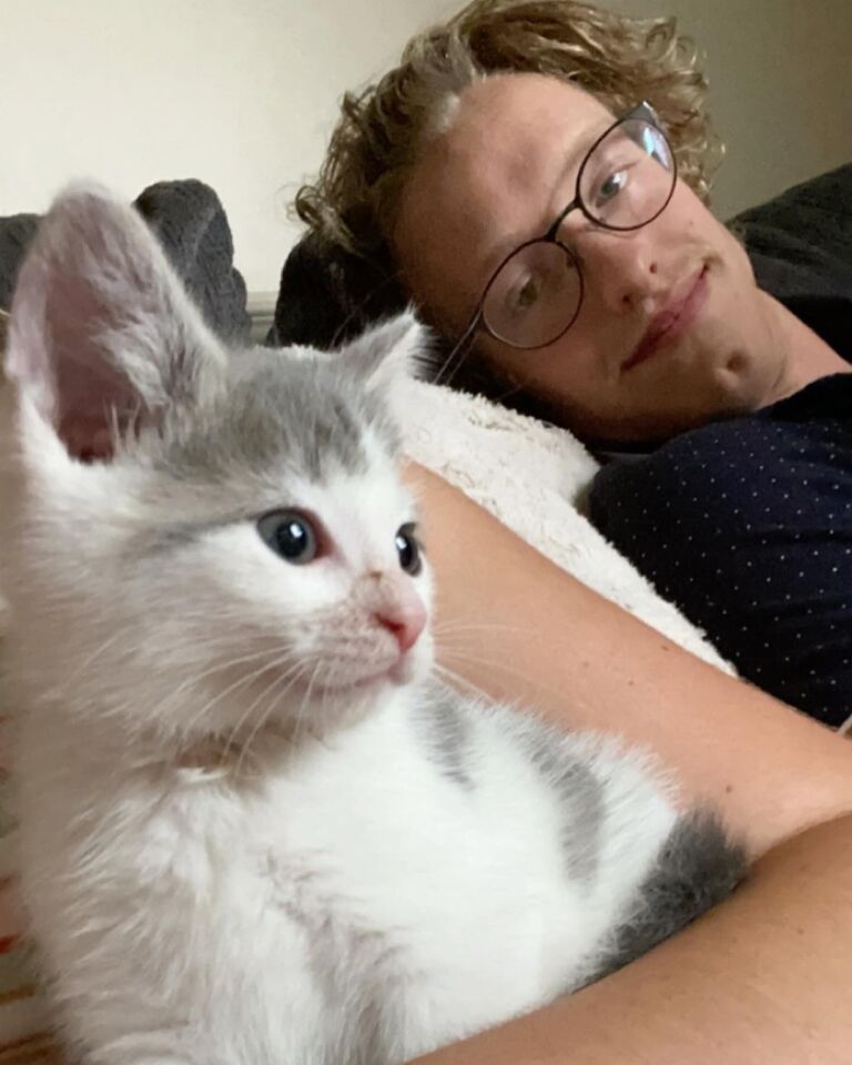 First of many cats rescued. 