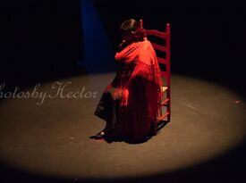 Flamenco Andaluz - Flamenco Dancer - Houston, TX - Hero Gallery 3
