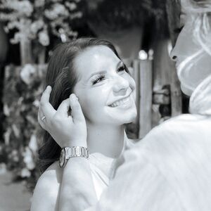 Gallery Photo 14