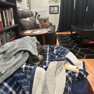 Gallery Photo 18