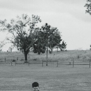 Gallery Photo 41