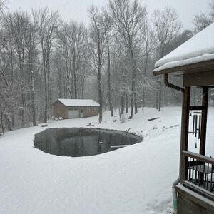 Gallery Photo 27