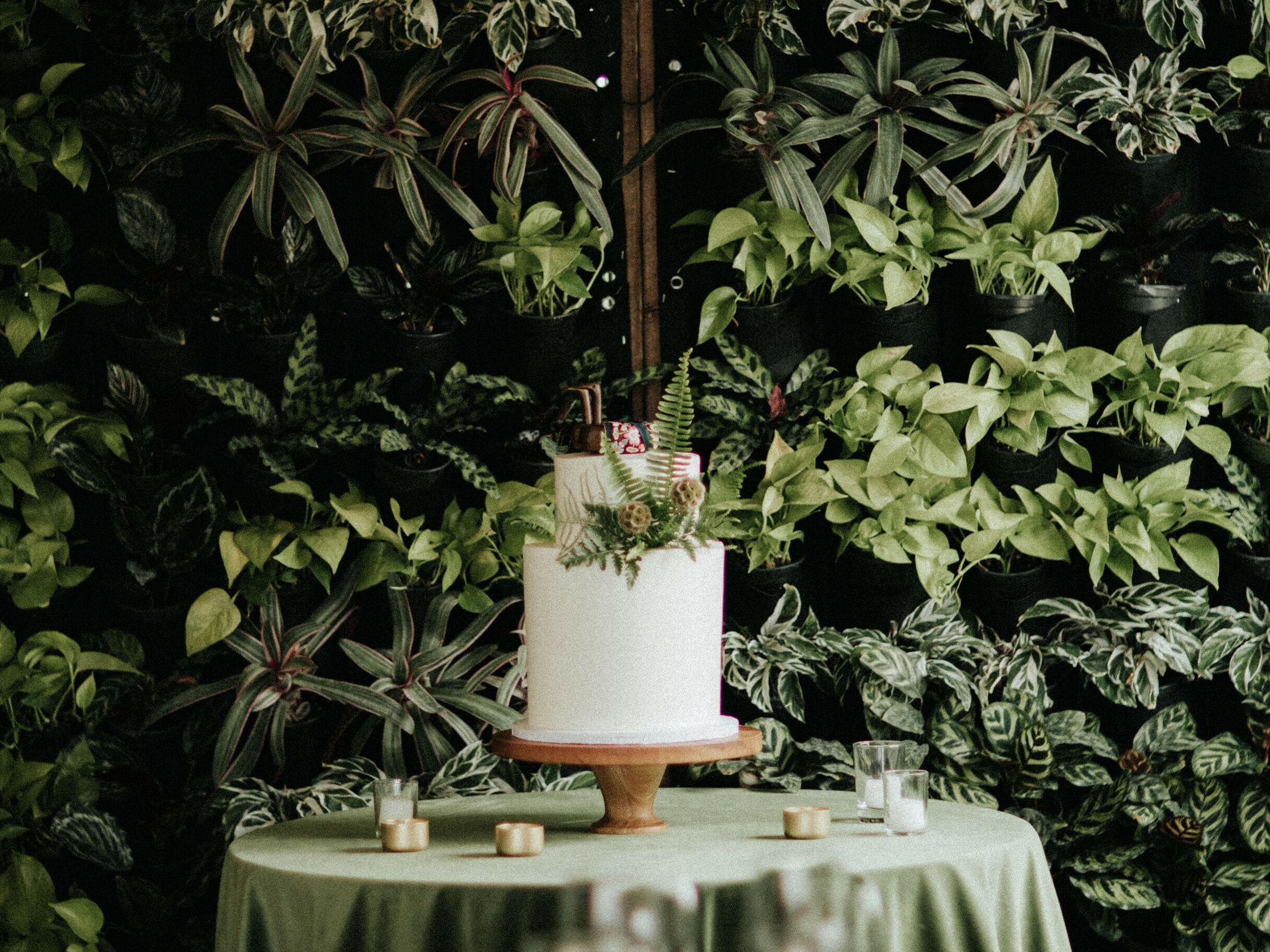 two tier wedding cake decorated with ferns against a greenery wall 