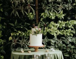 two tier wedding cake decorated with ferns against a greenery wall 