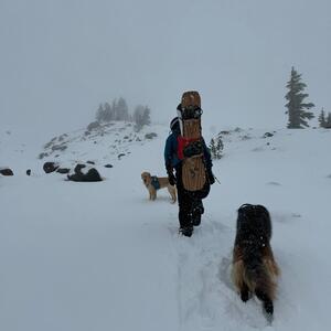 Gallery Photo 22